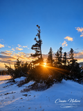 Winter Sunset