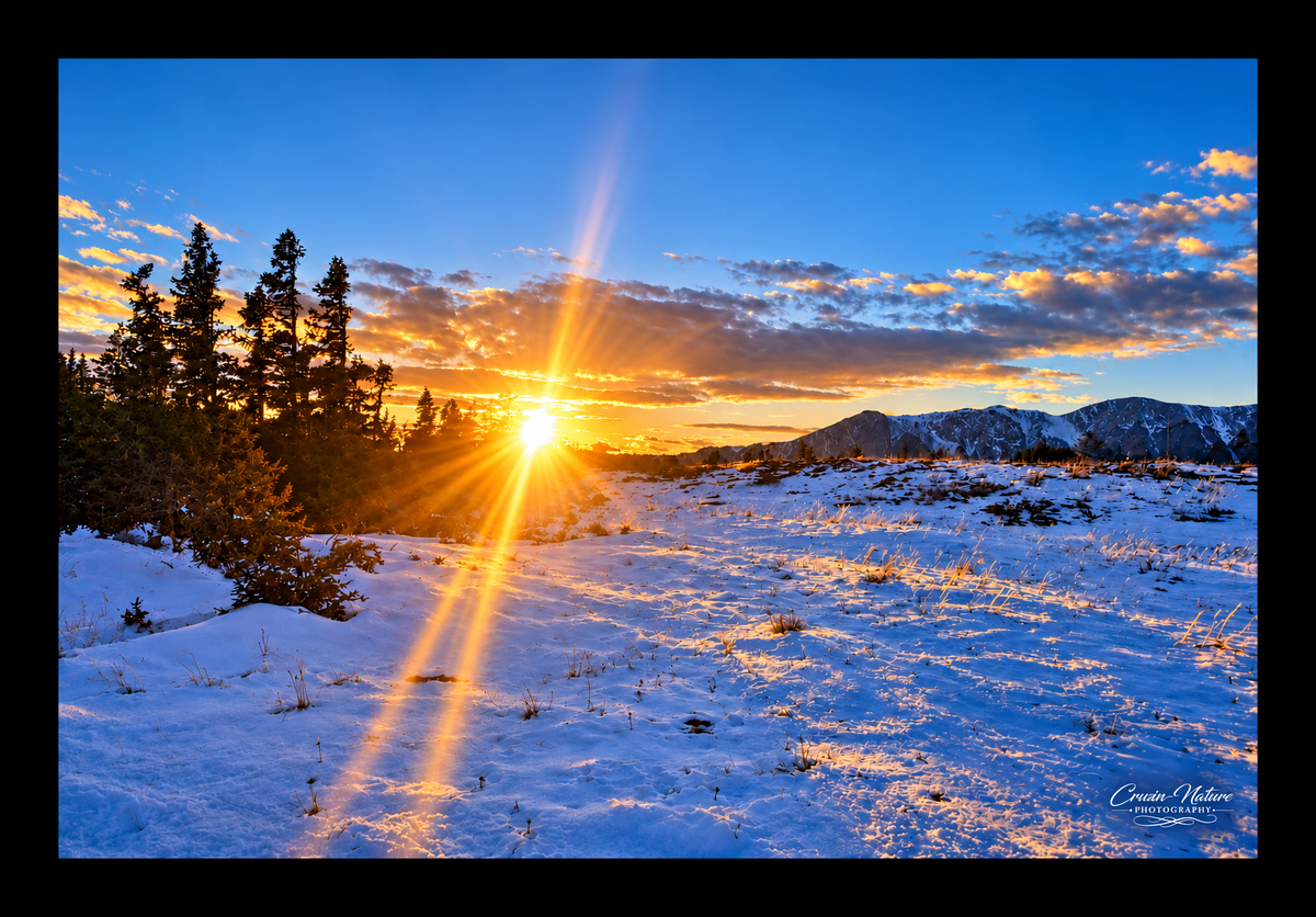 Winter's Last Light