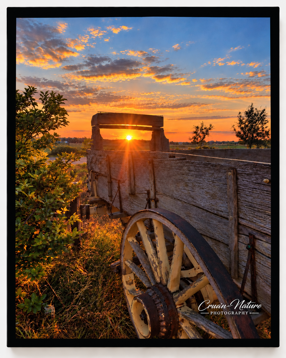 Sunrise Wagon-8x10 Hardboard Print